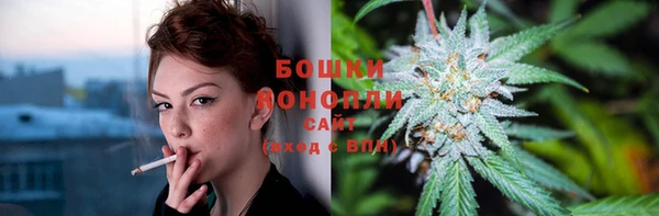 гидра Верхний Тагил