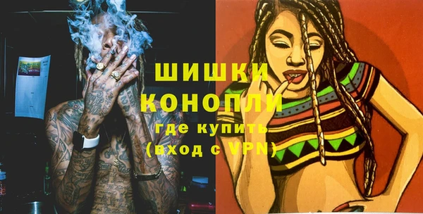 гидра Верхний Тагил