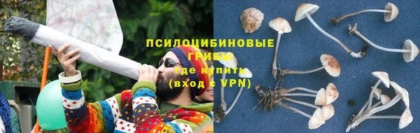 гидра Верхний Тагил