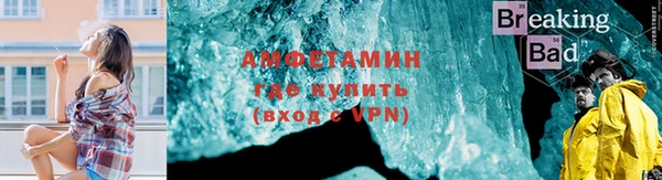 прущие грибы Бугульма